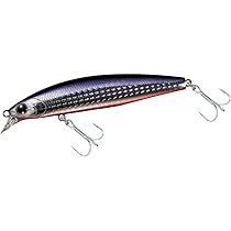 Amazon.co.jp: ダイワ(DAIWA) ショアラインシャイナーZ セットアッパー